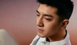 金瀚电视剧,从军旅英雄到荧幕硬汉的蜕变之路